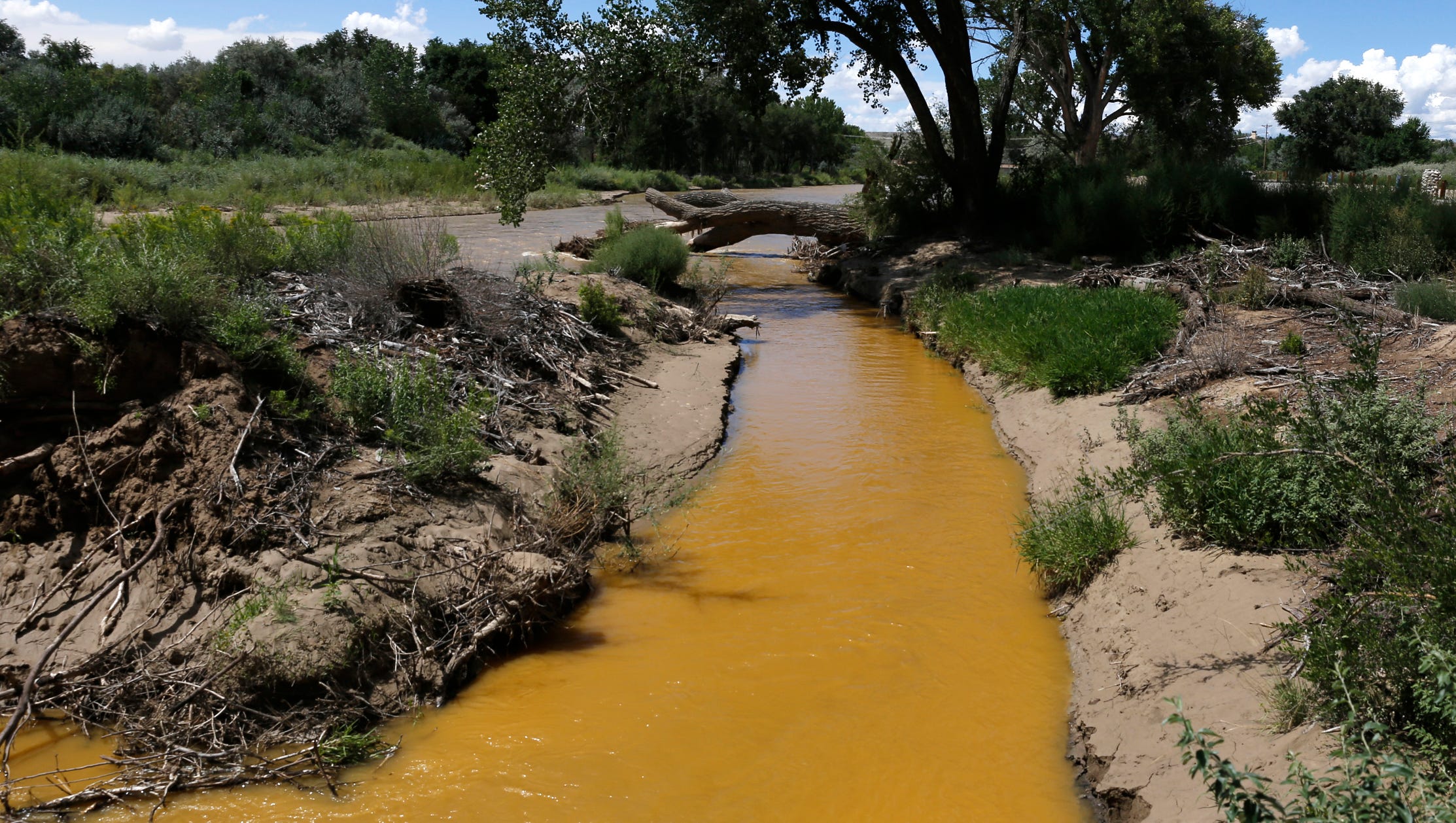 Discolored water is pictured in the Animas River near its confluence with the San Juan River in Farmington on Aug. 8, a few days after the Gold King Mine spill.